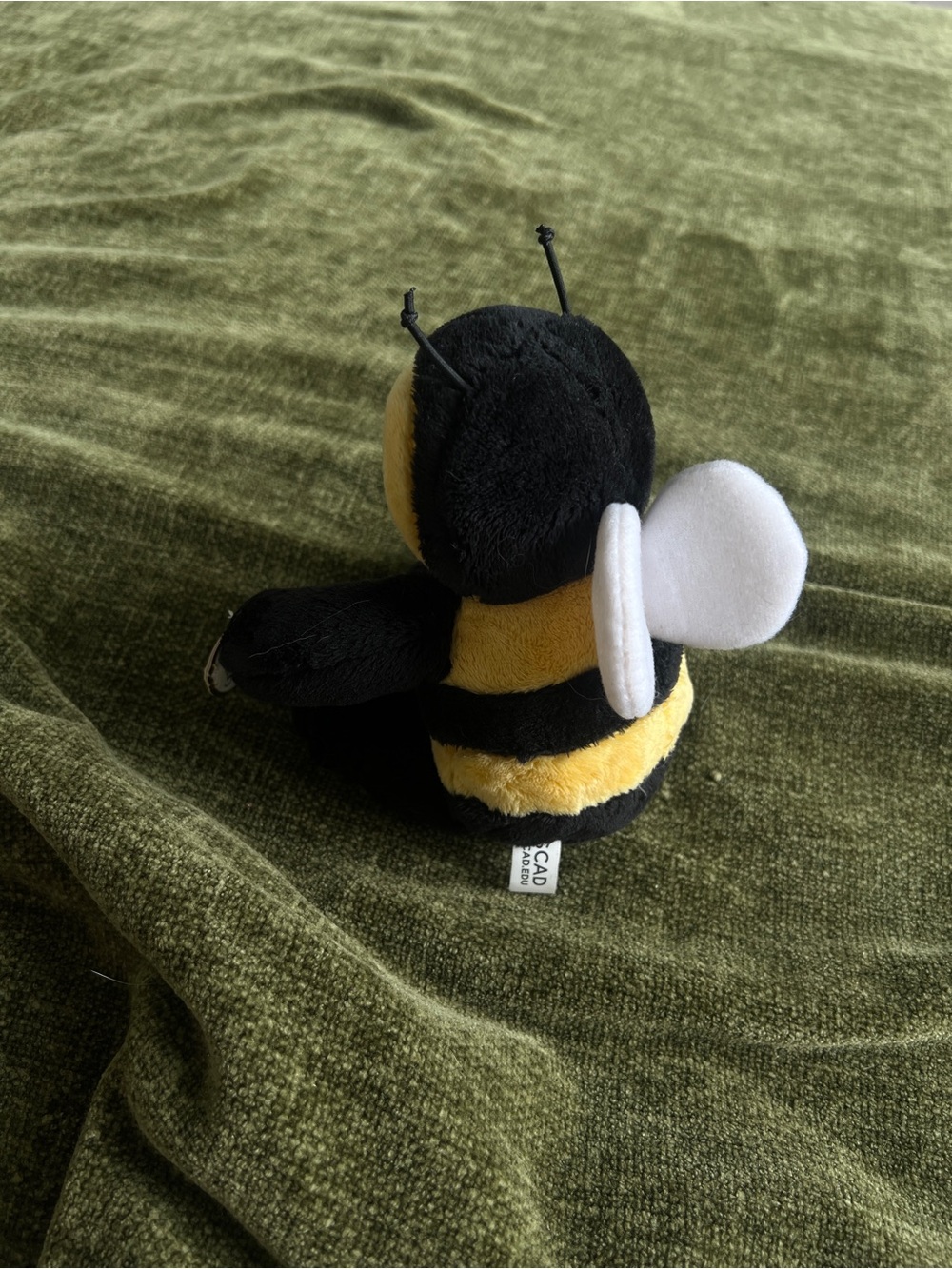 Bee Toy SCAD - Picture 2 of 5